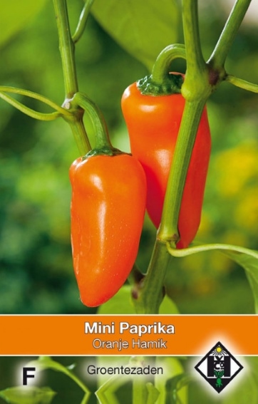 Mini Sweet Bell Pepper Orange Hamik (Capsicum) 40 seeds